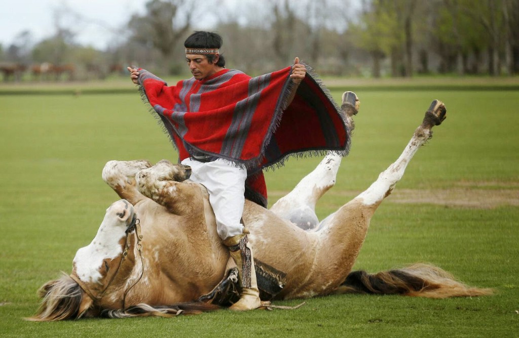 Le yoga pour les chevaux, une approche zen de l'équitation