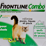 Accessoires : anti-puces, antiparasitaire pour chats Frontline Combo ( Mérial)
