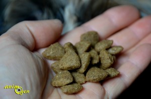 Alimentation : croquettes Bosch Bio Adult pour chien adulte (test, avis, prix)