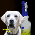 Anti-parasitaire pour chiens et chiots : anti-puces Effipro, Virbac (test, avis, prix)