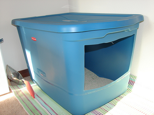 litiere chat fait maison