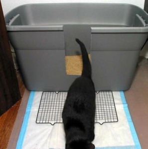 Accessoire pour chat à faire soi-même : le bac à litière ouvert ou fermé