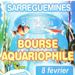 Bourse aquariophile à Sarreguemines (57), le dimanche 08 février 2015