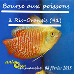 Bourse aux poissons à Ris Orangis (91), le dimanche 08 février 2015