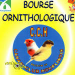 Bourse ornithologique à Houplines (59), le dimanche 1 er février 2015