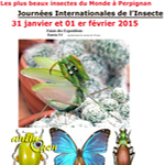 21 èmes Journées internationales de l'insecte à Perpignan (66), du samedi 31 janvier au dimanche 01 er février 2015
