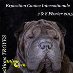 Exposition canine internationale à Troyes (10), du samedi 07 au dimanche 08 février 2015