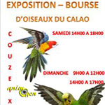 21 ème Bourse aux oiseaux à Couzeix (87), du samedi 14 au dimanche 15 février 2015