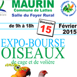 Expo-Bourse oiseaux de cage et de volière à Maurin (34), le dimanche 15 février 2015