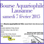 Bourse aux poissons à Lausanne (Suisse), le samedi 07 février 2015