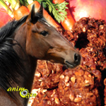 Alimentation : friandise aux pommes et carottes à cuisiner pour nos chevaux 