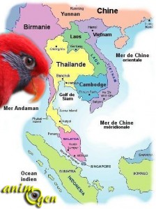 Perroquets du monde : les loris et perruches d'Asie du Sud-Est