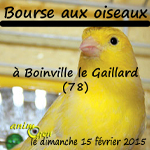 Bourse aux oiseaux à Boinville le Gaillard (78), le dimanche 15 février 2015