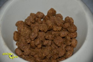 Alimentation : croquettes Eukanuba Adult moyennes races, poulet pour chien (test, avis prix)
