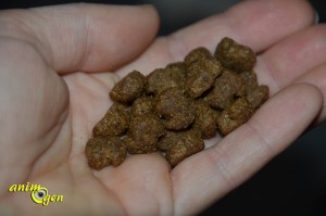 Alimentation : croquettes Eukanuba Adult moyennes races, poulet pour chien (test, avis prix)