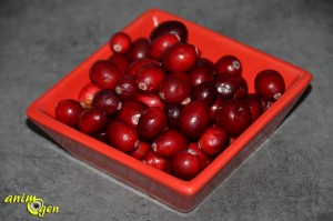 La canneberge, ou cranberry (vaccinum macrocarpon), une baie américaine qui ravit nos perroquets