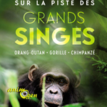 Exposition "Sur la piste des grands singes" à Paris (75), du mercredi 11 février au samedi 21 mars 2015