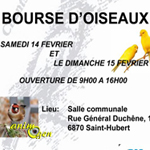 Bourse d'oiseaux à Saint Hubert (Belgique), du samedi 14 au dimanche 15 février 2015