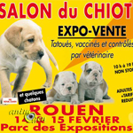 Salon du chiot à Rouen (76), du samedi 14 au dimanche 15 février 2015
