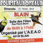 Bourse aux oiseaux à Blain (44), le dimanche 22 février 2015