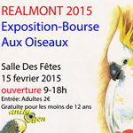 Bourse aux oiseaux à Realmont (81), le dimanche 15 février 2015