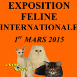 Exposition féline internationale à Fontenay le Comte (85), le dimanche 1 er mars 2015
