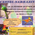 Bourse aux oiseaux exotiques et avicoles à Castel Sarrazin (40), le dimanche 15 février 2015