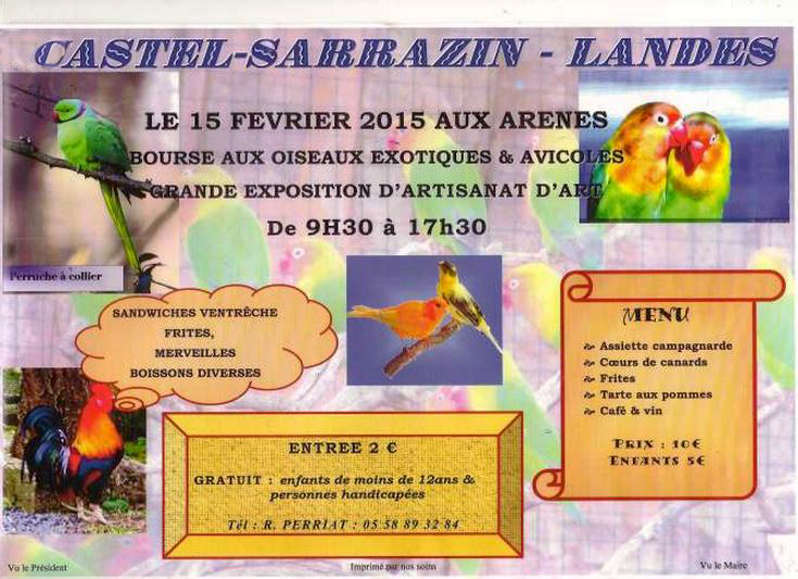 Bourse aux oiseaux exotiques et avicoles à Castel Sarrazin (40), le dimanche 15 février 2015