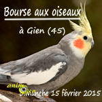 Bourse aux oiseaux à Gien (45), le dimanche 15 février 2015