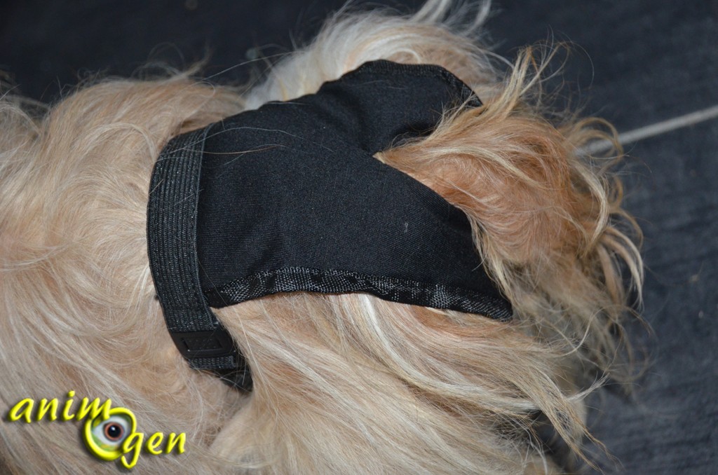 Accessoire pour chien en chaleur ou incontinent : slip de protection Trixie, (test, avis, prix)