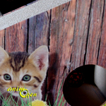 Accessoire pour chats : le grattoir Catnip, de Nobby (test, avis prix)