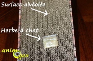 Accessoire pour chats : le grattoir Catnip, de Nobby (test, avis prix)