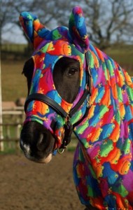 Accessoire : l'Onesie, un Pyjama pour chevaux ambiance cocooning