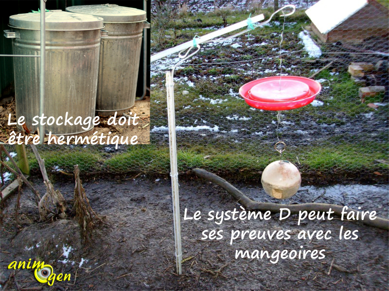 Mangeoire Poules Anti Nuisibles Et Anti Gaspillage Mangeoire Poule Mangeoire Poule