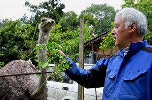 L'arche de Naoto Matsumura, ou les survivants de Fukushima