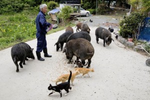 L'arche de Naoto Matsumura, ou les survivants de Fukushima