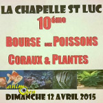 10 ème Bourse aux poissons, coraux et plantes à la Chapelle Saint Luc (10), le dimanche 12 avril 2015