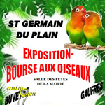 Exposition-bourse d'oiseaux à Saint Germain du Plain (71), du samedi 14 au dimanche 15 mars 2015