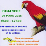 Expo-bourse aux oiseaux à Cestas (33), le dimanche 29 mars 2015