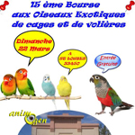 Bourse aux oiseaux à Saint Loubès (33), le dimanche 22 mars 2015