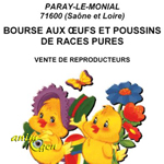 Bourse aux œufs et poussins de races pures à Paray le Monial (71), le samedi 25 avril 2015