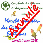 Marché européen des oiseaux à Haguenau (67), le dimanche 04 avril 2015