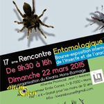17 ème Rencontre entomologique à Mons (Belgique), le dimanche 22 mars 2015