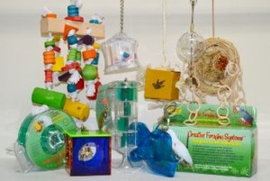 Comment choisir les bons jouets pour nos perroquets dans le commerce ?