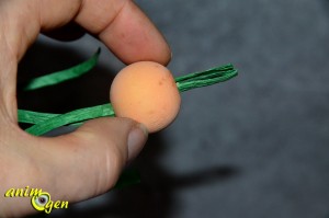 Fabriquez des carottes pour vos rongeurs, lapins et perroquets (tutoriel, test, avis, prix)