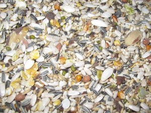 Alimentation : composer soi-même un mélange de graines pour grand perroquet