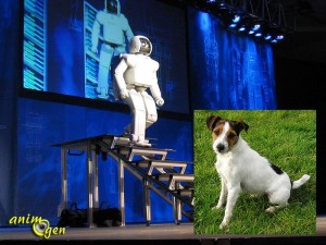 Le robot social à l'épreuve du chien