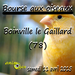 Bourse aux oiseaux à Boinville le Gaillard (78), le samedi 11 avril 2015