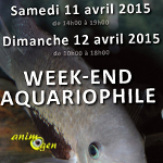 Bourse aux poissons et week-end portes ouvertes à Vernon (27), du samedi 11 au dimanche 12 avril 2015
