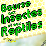 Bourse aux insectes et aux reptiles à Marck (62), le dimanche 24 mai 2015